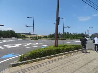IMG_3133.jpeg