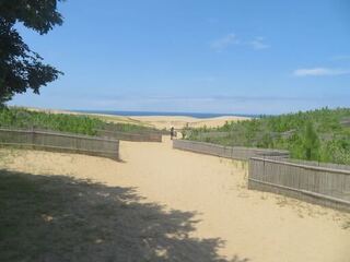 IMG_3135.jpeg