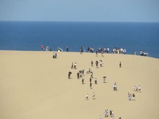 IMG_3143.jpeg