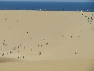 IMG_3145.jpeg