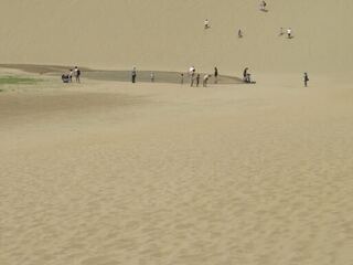 IMG_3154.jpeg