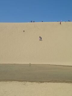 IMG_3155.jpeg