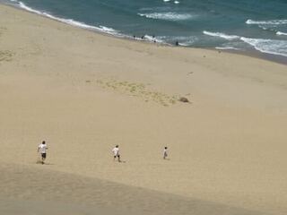 IMG_3166.jpeg