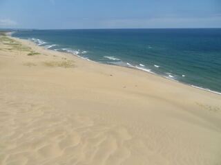 IMG_3168.jpeg