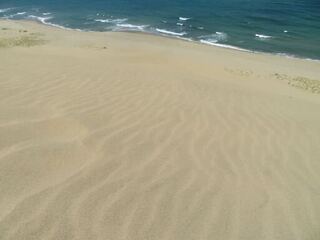IMG_3175.jpeg