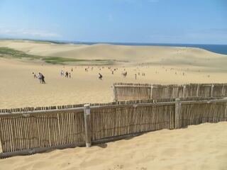 IMG_3183.jpeg