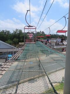 IMG_3186.jpeg