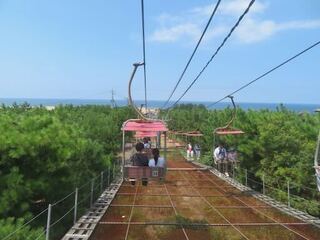 IMG_3199.jpeg