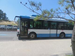 IMG_3206.jpeg