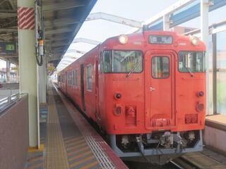IMG_3207.jpeg