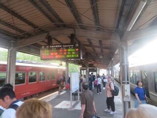IMG_3217.jpeg