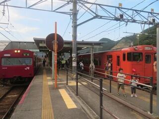 IMG_3219.jpeg