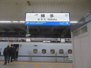 IMG_3862.jpeg