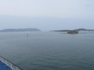 IMG_3916.jpeg