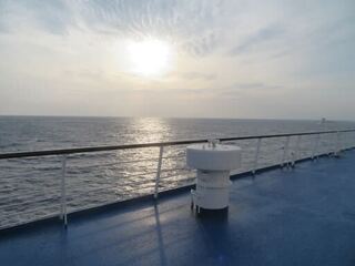 IMG_3938.jpeg