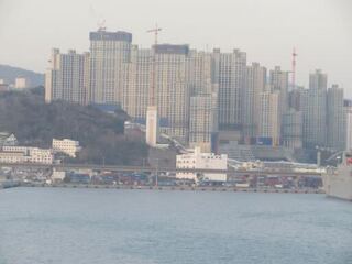 IMG_3955.jpeg