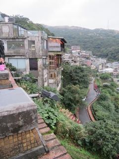 IMG_3981.jpg