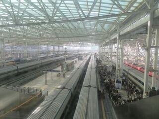 IMG_3992.jpeg