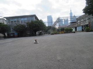 IMG_4005.jpg