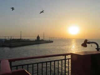 IMG_4102.jpeg
