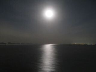IMG_4117.jpeg
