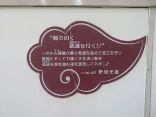 IMG_4146.jpeg