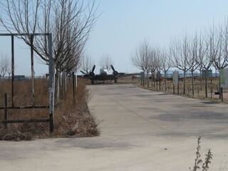 IMG_4217.jpeg