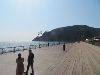 IMG_4227.jpeg