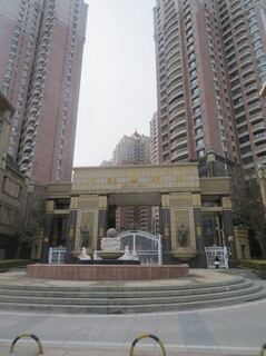 IMG_4275.jpeg