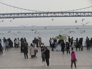 IMG_4284.jpeg