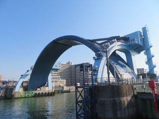 IMG_5472.jpg