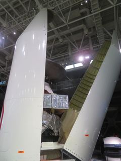 IMG_5690.jpg